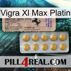 Vigra Xl Max Platinum 41
